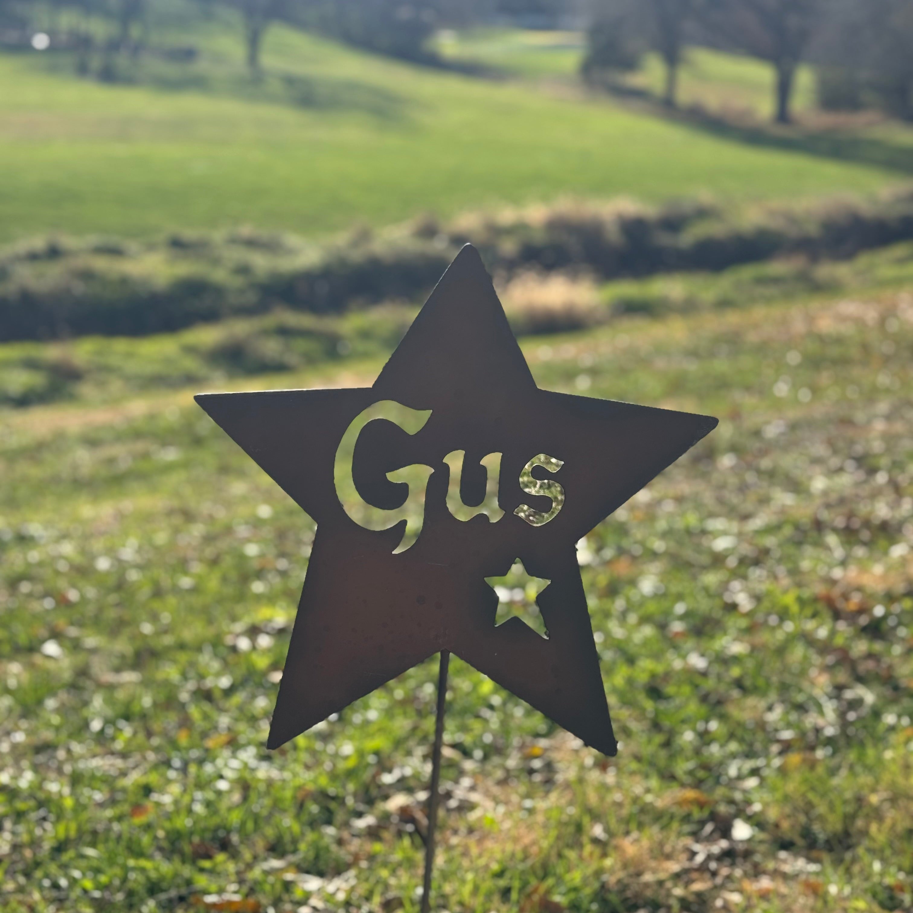 Star-shaped garden sign with 'Gus' on a grassy field