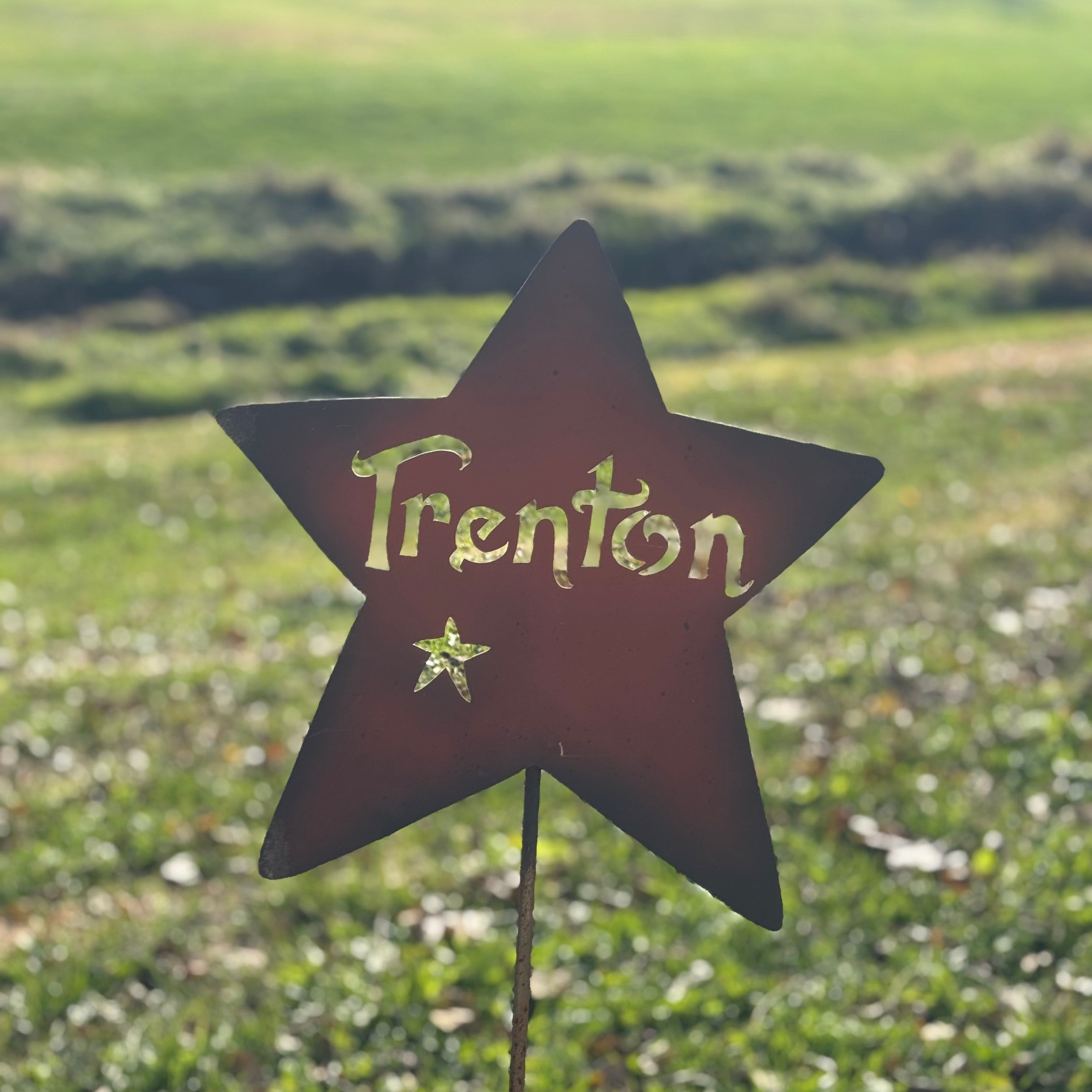 Star-shaped sign with 'Trenton' on a grassy background