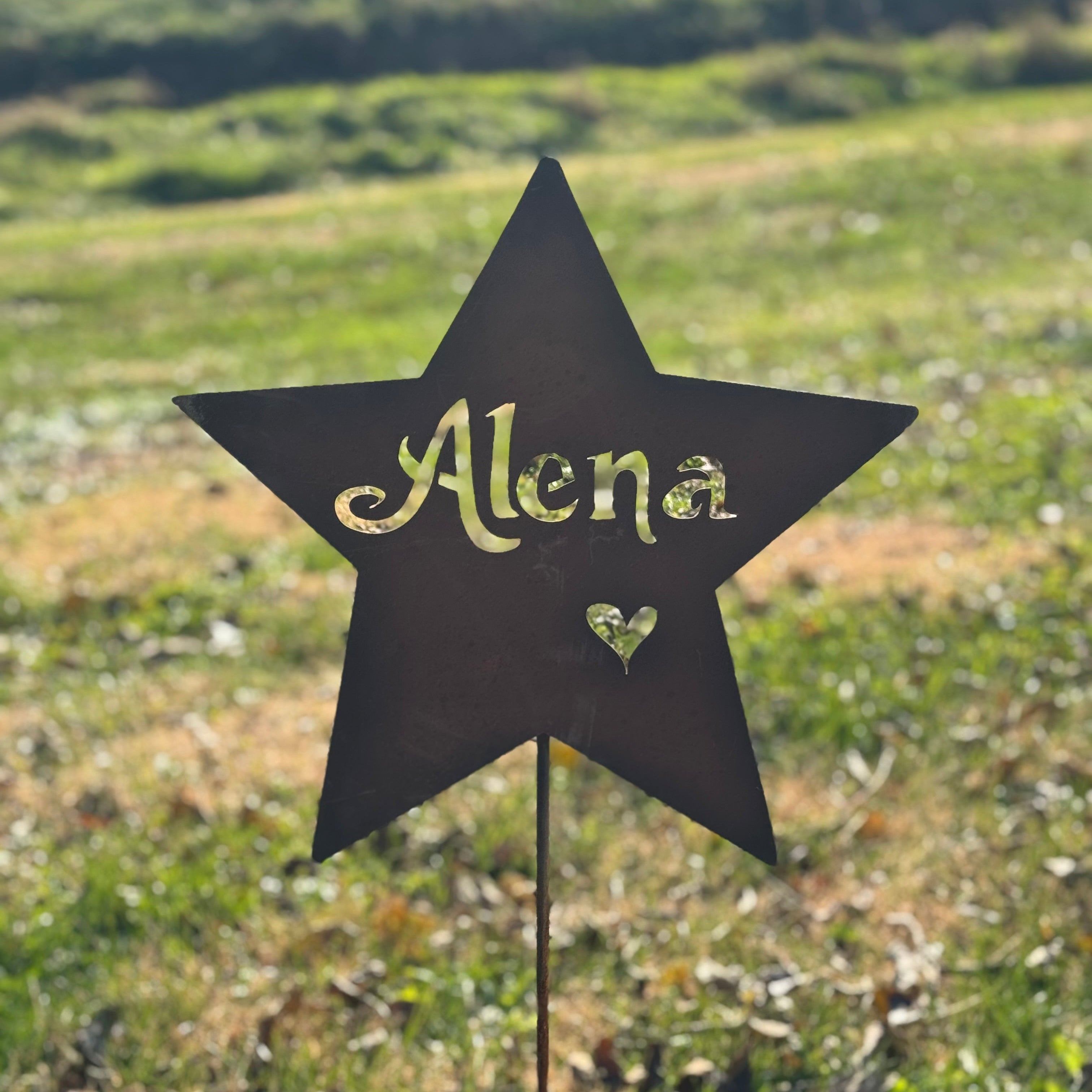 Star-shaped garden sign with 'Alena' on a grassy background