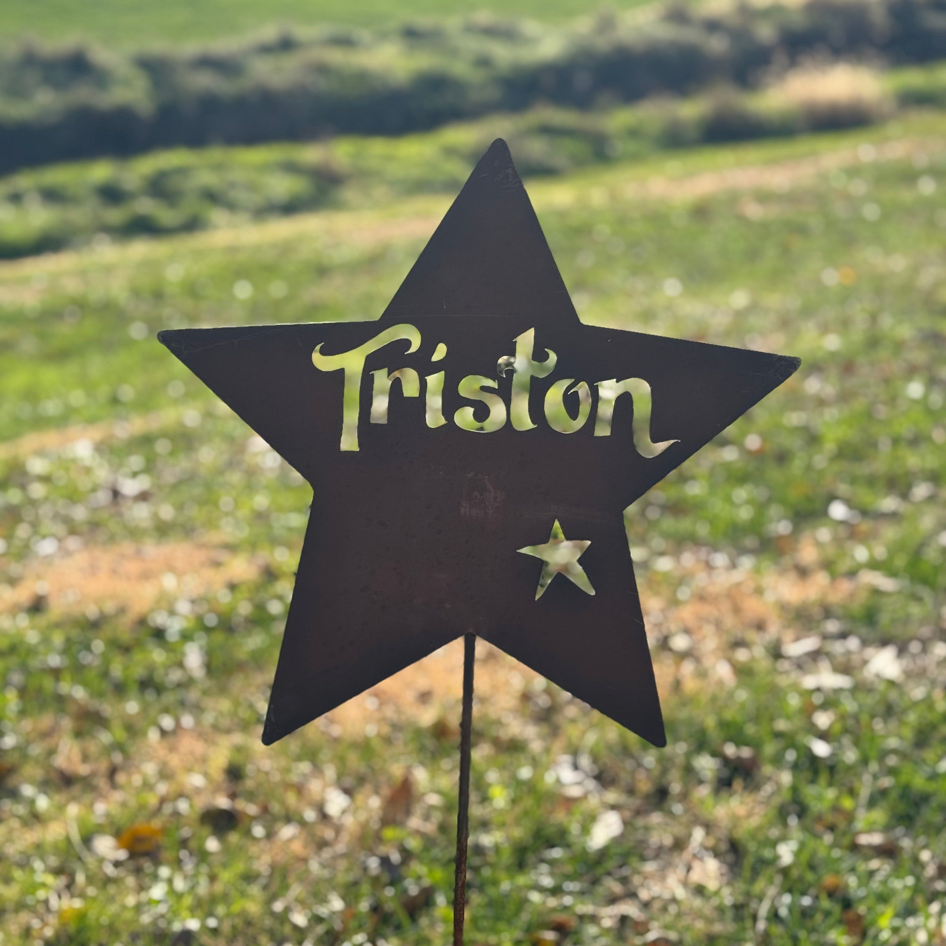 Star-shaped garden marker with 'Triston' on a grassy background