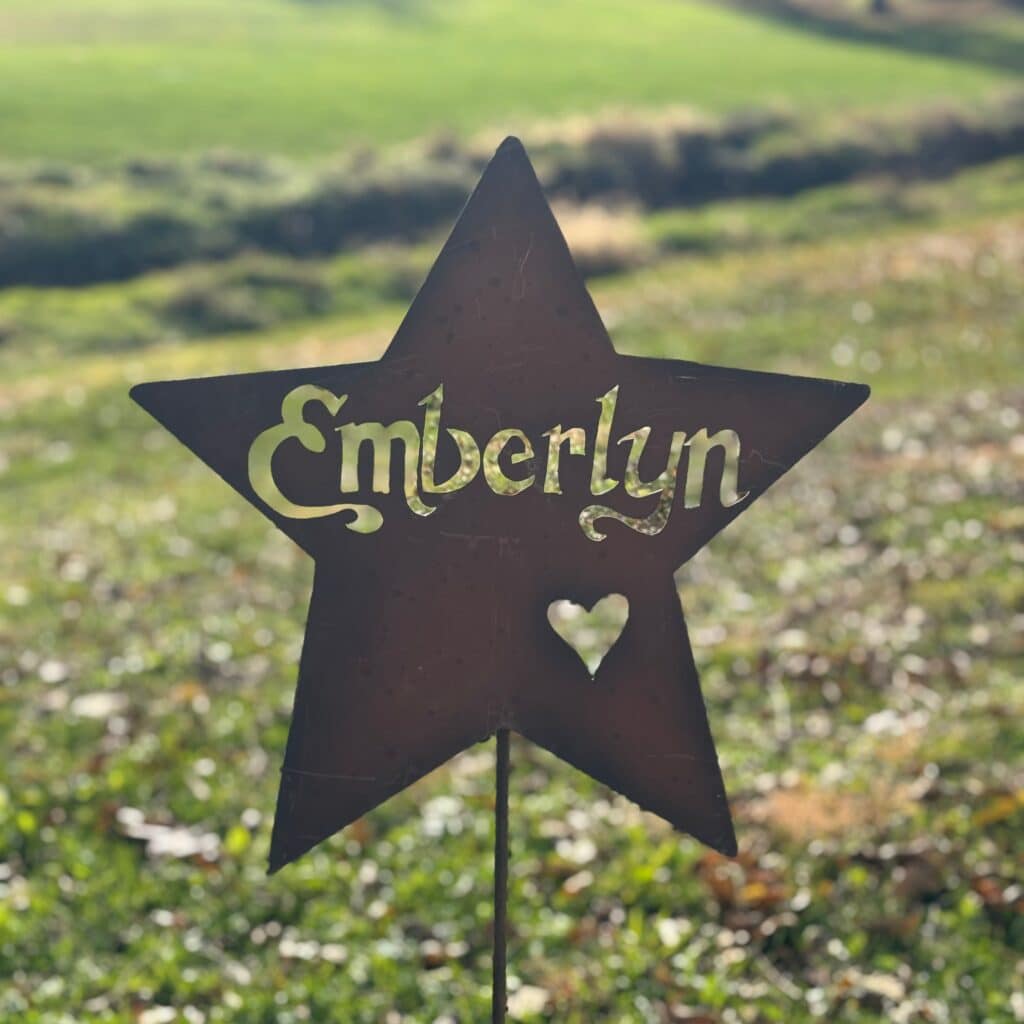 A Pre-Made Star Name Stake featuring "Emberlyn" and a small heart is displayed in a sunlit grassy field, with blurred greenery in the background.